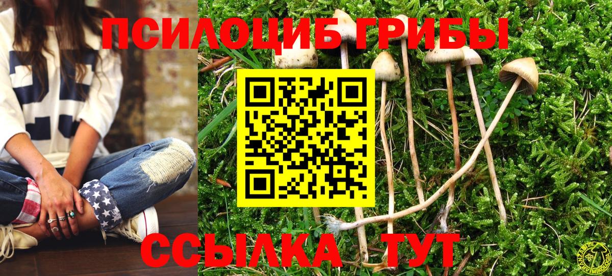Псилоцибиновые грибы мухоморы  Вход с VPN  Обнинск 