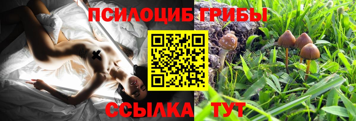 Псилоцибиновые грибы мицелий Обнинск